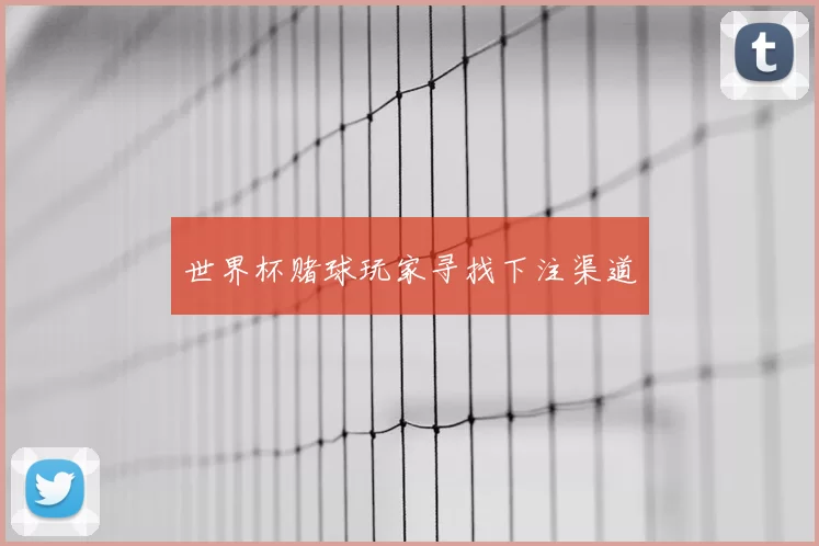 世界杯赌球玩家寻找下注渠道