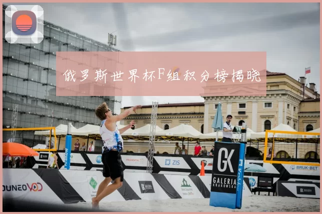 俄罗斯世界杯F组积分榜揭晓