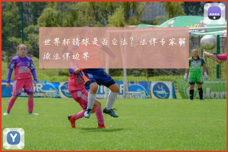 世界杯猜球是否合法?法律专家解读法律边界