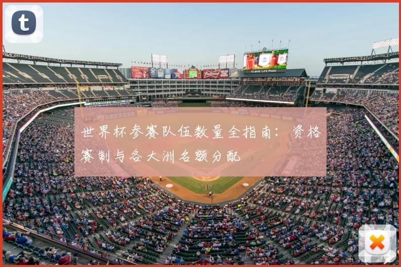 世界杯参赛队伍数量全指南：资格赛制与各大洲名额分配
