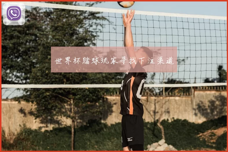 世界杯赌球玩家寻找下注渠道