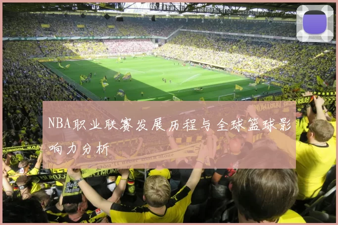 NBA职业联赛发展历程与全球篮球影响力分析