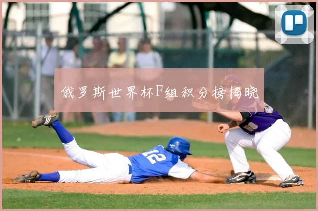 俄罗斯世界杯F组积分榜揭晓