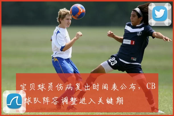 宝贝球员伤病复出时间表公布,CBA球队阵容调整进入关键期