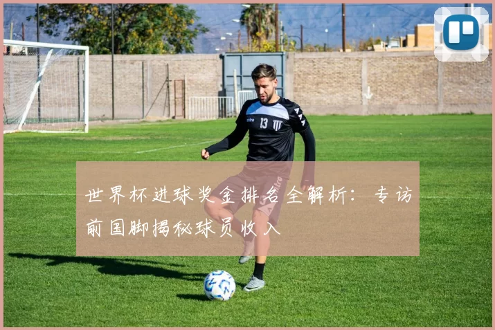 世界杯进球奖金排名全解析:专访前国脚揭秘球员收入
