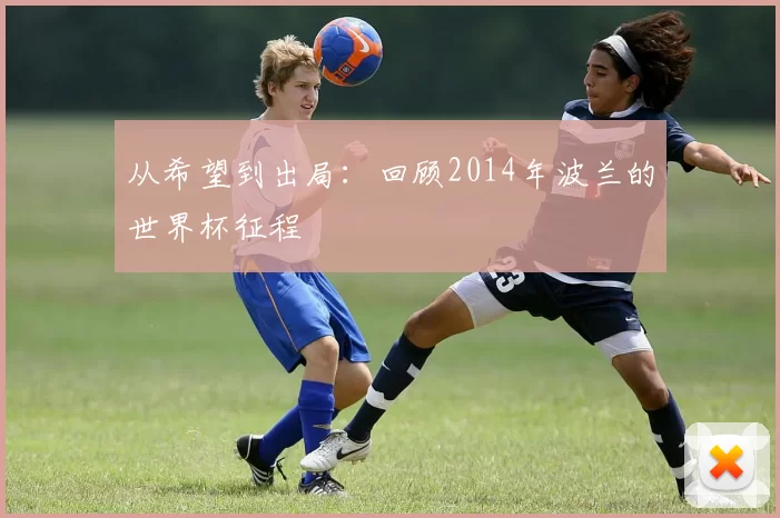 从希望到出局:回顾2014年波兰的世界杯征程