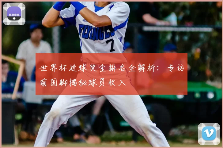 世界杯进球奖金排名全解析:专访前国脚揭秘球员收入
