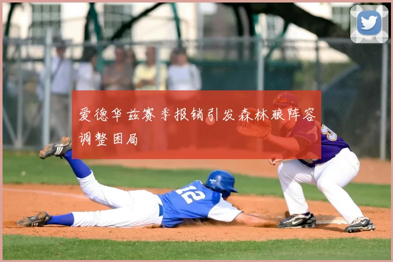 爱德华兹赛季报销引发森林狼阵容调整困局