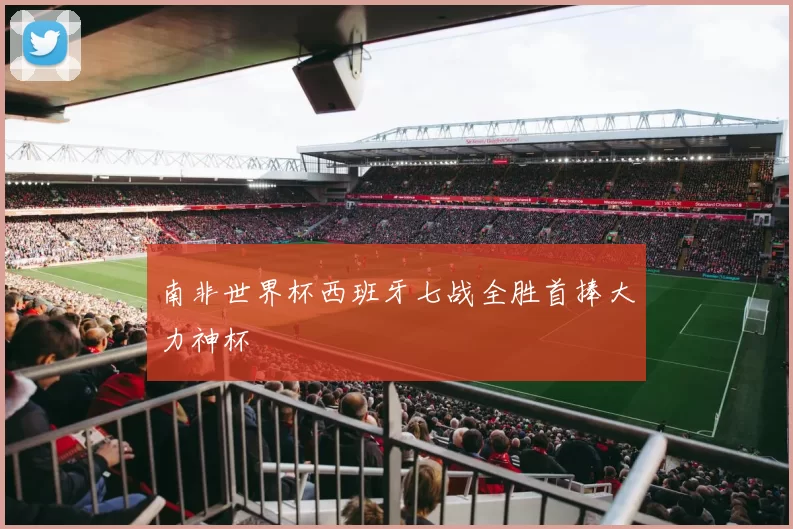 南非世界杯西班牙七战全胜首捧大力神杯